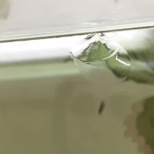 glass with impact chipping damage